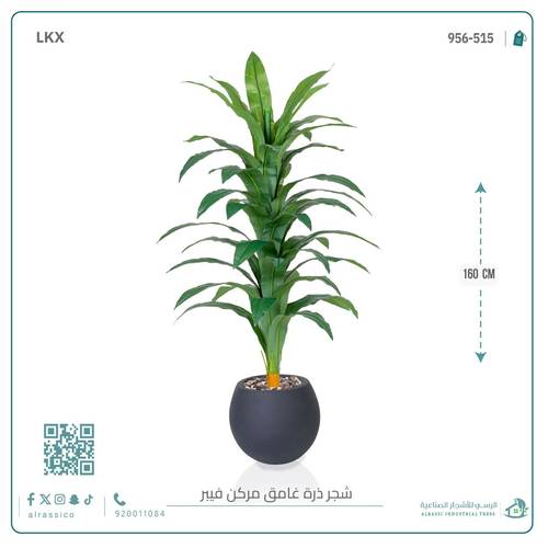 شجرة نبات الذرة (دراسينا) الاصطناعية بمركن فيبر 