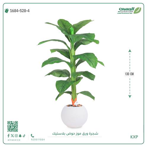 شجرة ورق موز متوسطة بمركن بلاستيك دائرى 
