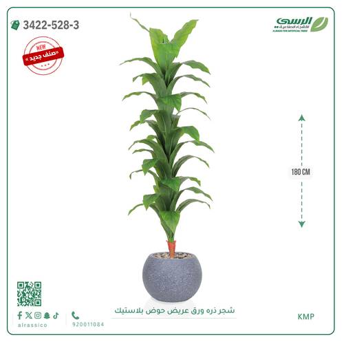 شجرة ذرة صناعية ( ارتفاع 180 سم ) حوض بلاستيك دائري