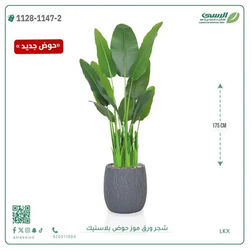 شجرة موز صناعية ( ارتفاع 175 سم ) حوض بلاستيك