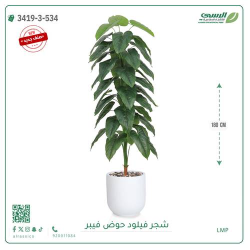 شجرة فيلود صناعية ( ارتفاع 180 سم ) حوض فيبر