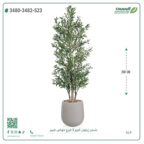 شجرة زيتون صناعية ( ارتفاع 200 سم ) حوض فيبر