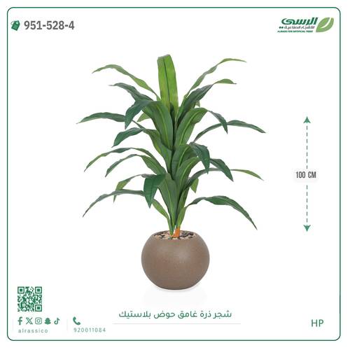 شجرة ذرة غامق بمركن بلاستيك دائرى 