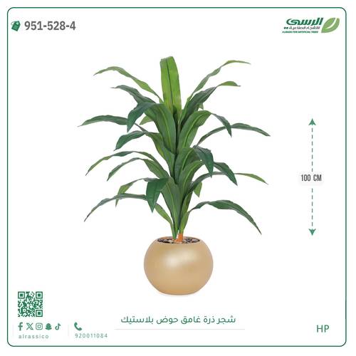  شجرة ذرة غامق بمركن بلاستيك دائرى 