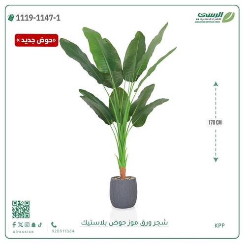 شجرة موز صناعية ( ارتفاع 170 سم ) حوض بلاستيك