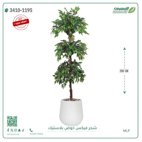 شجر فيكس صناعية ( ارتفاع 200 سم ) حوض بلاستك