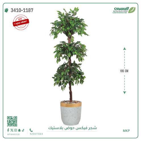 شجر فيكس صناعية ( ارتفاع 195 سم ) حوض بلاستك