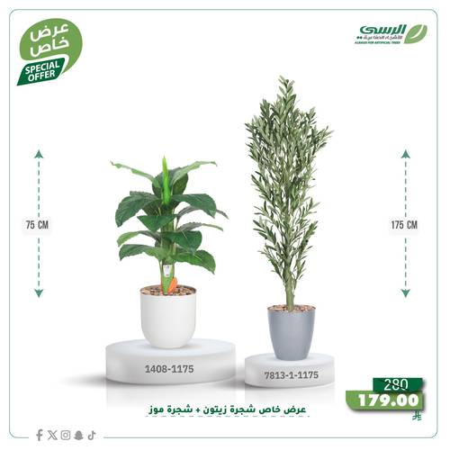 عرض شجرة زيتون صناعية ( ارتفاع 175 سم ) + شجرة ورق موز صناعية ( ارتفاع 75 سم ) حوض بلاستيك