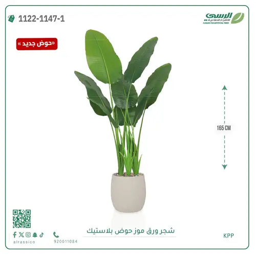شجرة موز صناعية ( ارتفاع 165 سم ) حوض بلاستيك
