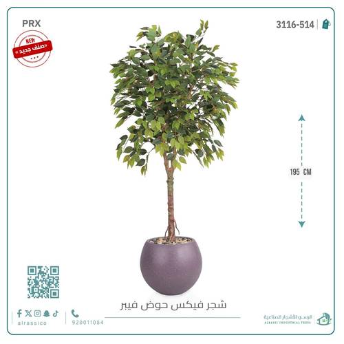 شجرة فيكس صناعية بحوض فيبر