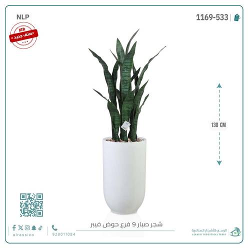 صبار جلد النمر الأخضر بحوض فيبر