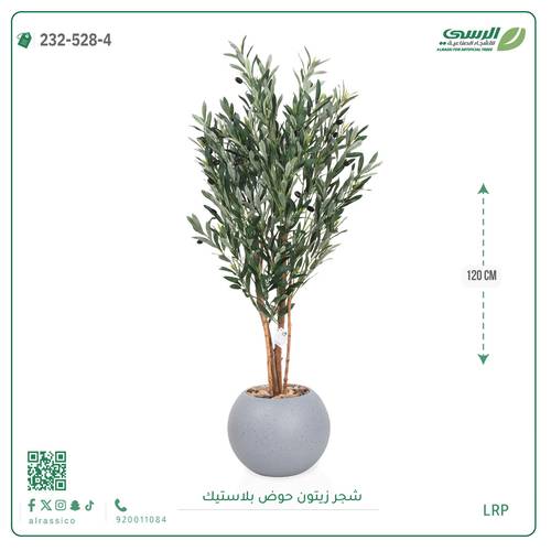 شجرة زيتون اصطناعية (4 فروع) بمركن بلاستيك دائرى 