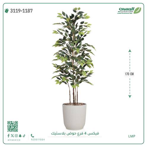 شجر فيكس صناعية ( ارتفاع 170 سم ) حوض بلاستك