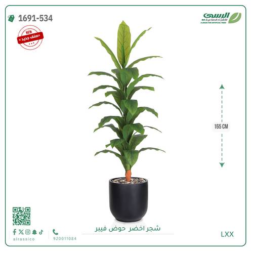 شجرة ورق أخضر وسط بمركن فيبر اسطوانى 