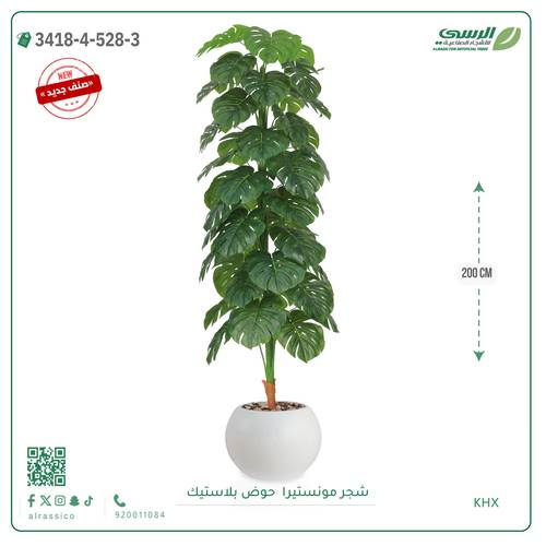 شجرة مونستيرا صناعية ( ارتفاع 200 سم ) حوض بلاستيك