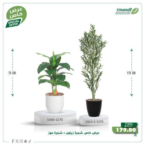 عرض شجرة زيتون صناعية ( ارتفاع 175 سم ) + شجرة ورق موز صناعية ( ارتفاع 75 سم ) حوض بلاستيك