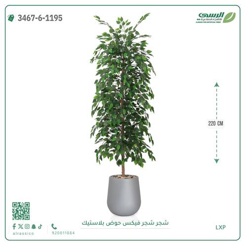 شجرة فيكس صناعية ( ارتفاع 220 سم ) حوض بلاستك