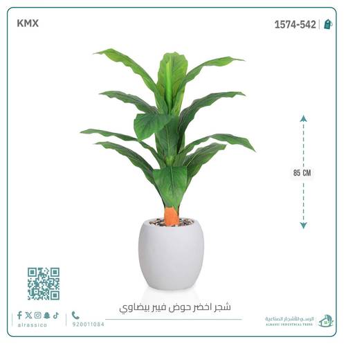 شجرة ورق موز حوض فيبر بيضوي