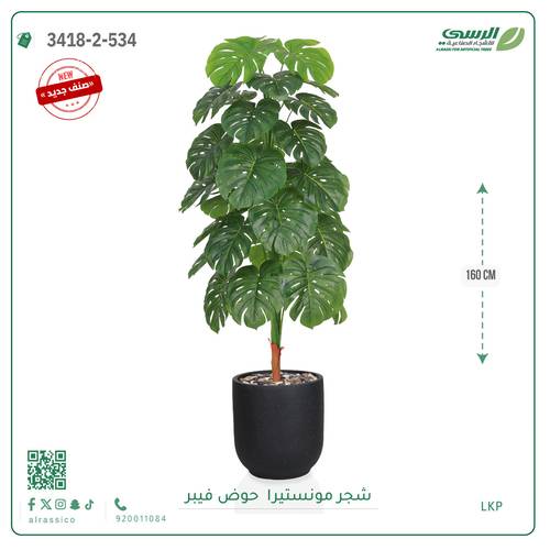شجرة مونستيرا صناعية ( ارتفاع 160 سم ) حوض فيبر