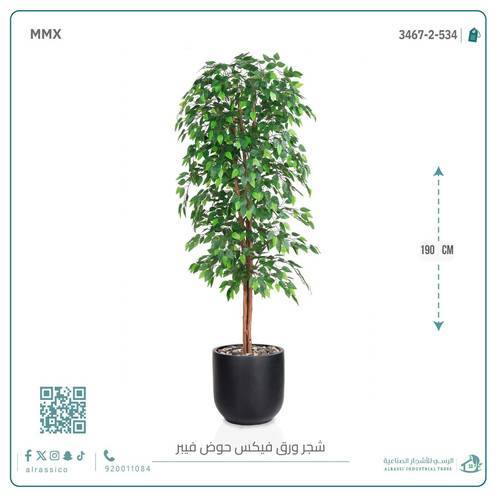 شجرة ورق فيكس اصطناعية بمركن فيبر  أسطواني