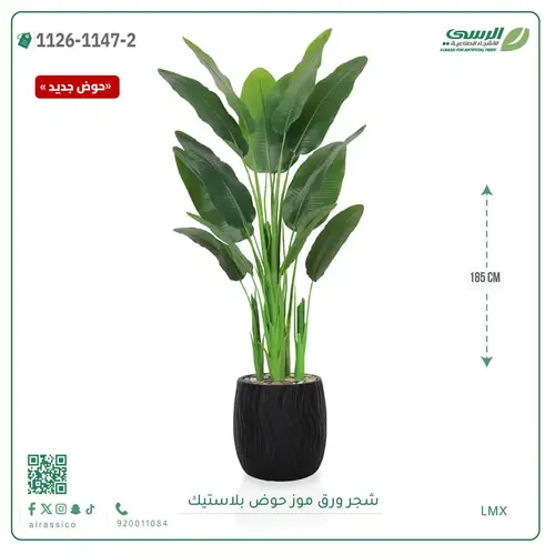 شجرة موز صناعية ( ارتفاع 185 سم ) حوض بلاستيك