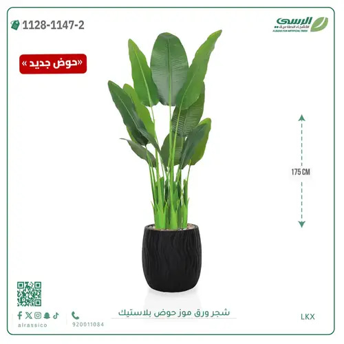 شجرة موز صناعية ( ارتفاع 175 سم ) حوض بلاستيك
