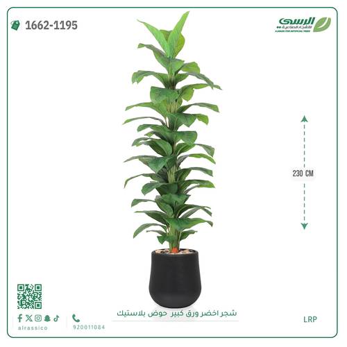 شجر مونستيرا صناعي ( ارتفاع 230 سم ) حوض بلاستيك