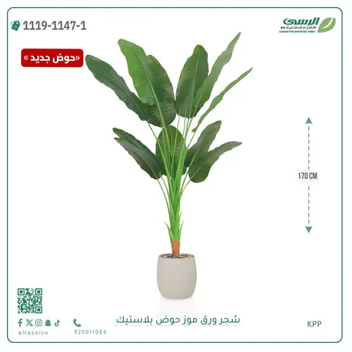 شجرة موز صناعية ( ارتفاع 170 سم ) حوض بلاستيك