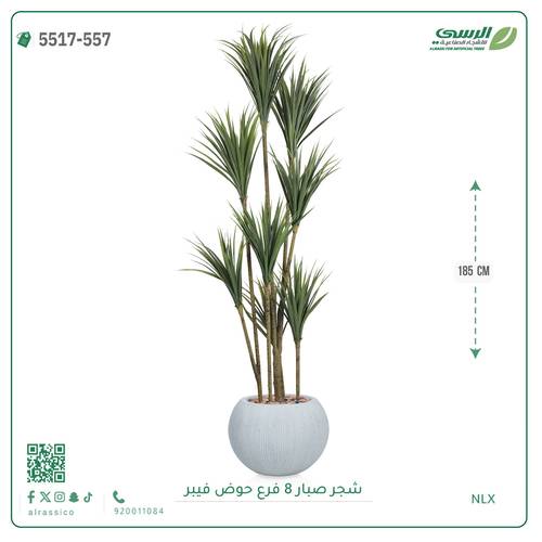 شجرة صبار صناعية ( ارتفاع 185 سم ) حوض فيبر مقلم