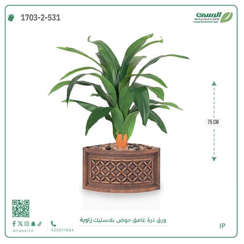  شجرة ورق ذرة فاتح بمركن بلاستيك زاوية 