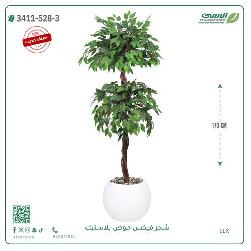 شجر فيكس صناعية ( ارتفاع 170 سم ) حوض بلاستيك