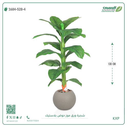 شجرة ورق موز متوسطة بمركن بلاستيك دائرى 