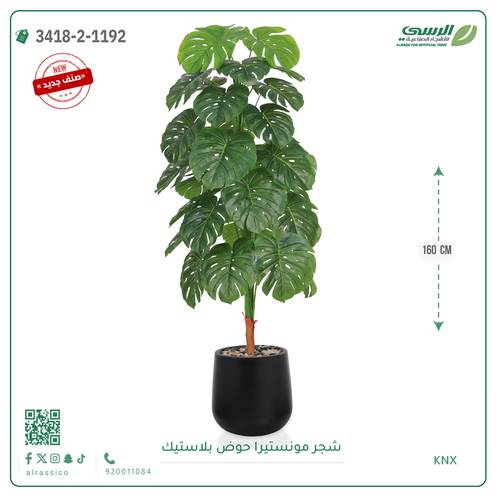 شجرة مونستيرا صناعية ( ارتفاع 160 سم ) حوض بلاستيك