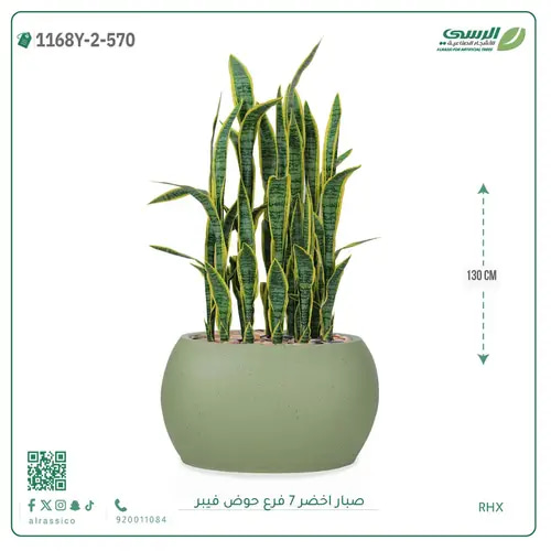 صبار صناعية ( ارتفاع 130 سم ) حوض فيبر