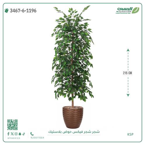 شجرة فيكس صناعية ( ارتفاع 215 سم ) حوض بلاستك