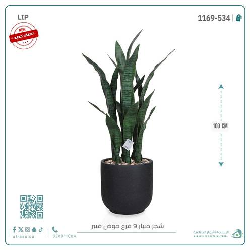 صبار جلد النمر بحوض فيبر دائري