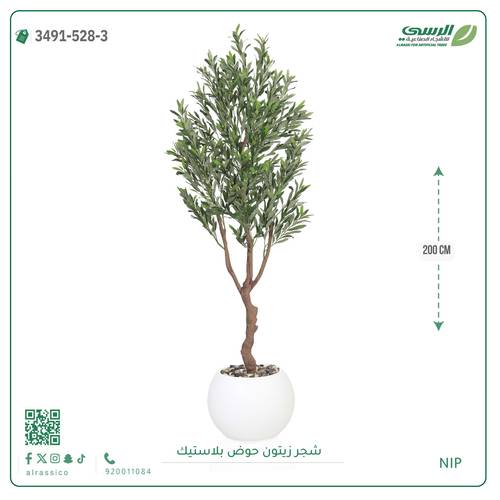 شجرة زيتون اصطناعية (4 فروع) بمركن بلاستيك دائرى 
