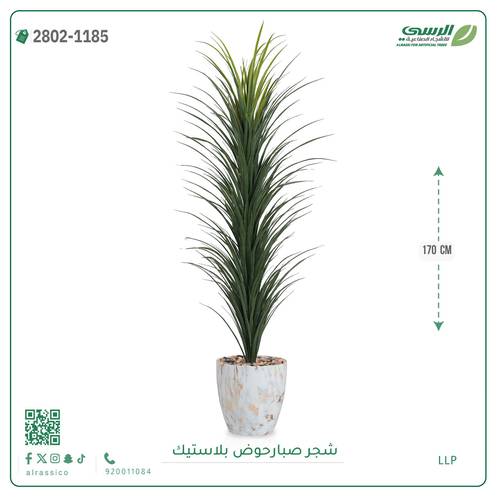 شجرة صبار صناعية ( ارتفاع 170 سم ) حوض بلاستيك رخامي
