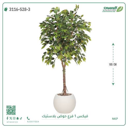 شجرة فيكس صناعية ( ارتفاع 185 سم ) حوض بلاستيك