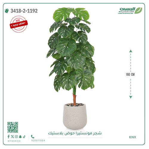 شجرة مونستيرا صناعية ( ارتفاع 160 سم ) حوض بلاستيك