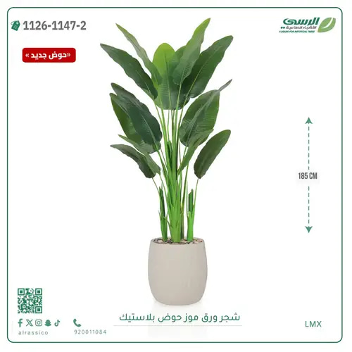 شجرة موز صناعية ( ارتفاع 185 سم ) حوض بلاستيك