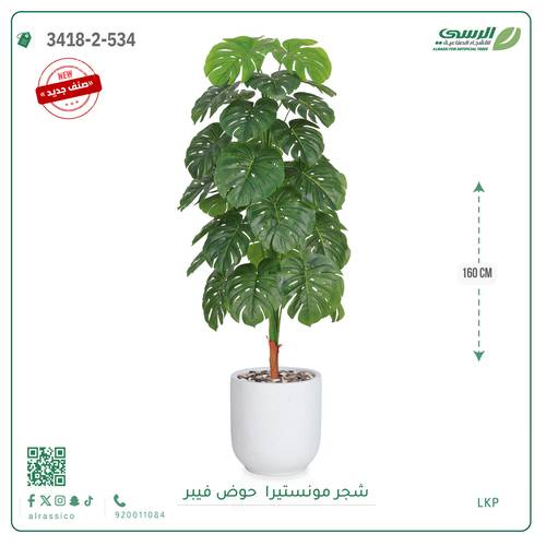 شجرة مونستيرا صناعية ( ارتفاع 160 سم ) حوض فيبر