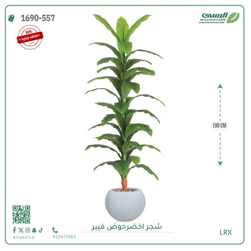 شجر أخضر صناعي ( ارتفاع 190 سم ) حوض فيبر