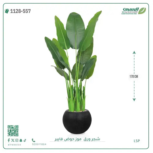 شجر موز صناعية ( ارتفاع 170 سم ) حوض فيبر
