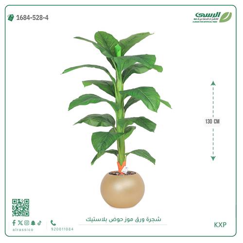 شجرة ورق موز متوسطة بمركن بلاستيك دائرى 