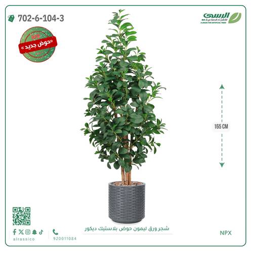 شجرة ورق ليمون صناعية ( ارتفاع 165 سم ) حوض بلاستك