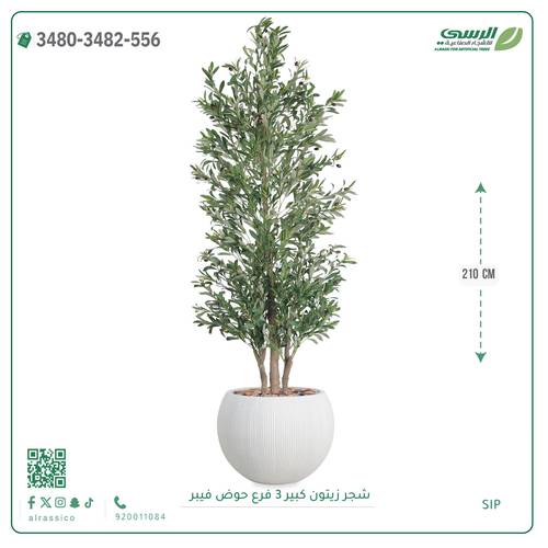 شجرة زيتون صناعية (ارتفاع 210 سم) حوض فيبر