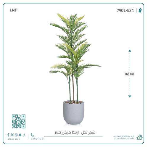 نخل أريكا اصطناعية (3 فرع) بمركن فيبر  أسطواني