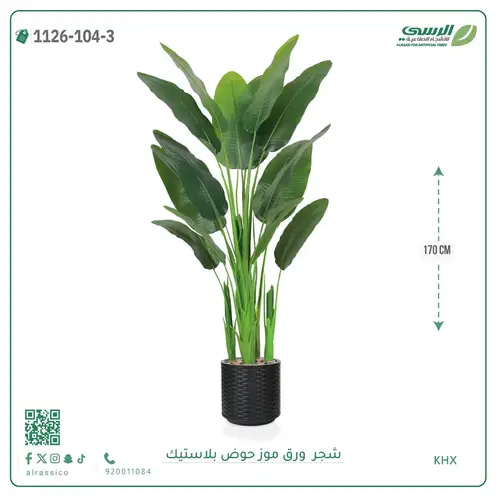 شجرة موز صناعية ( ارتفاع 170 سم ) حوض بلاستيك
