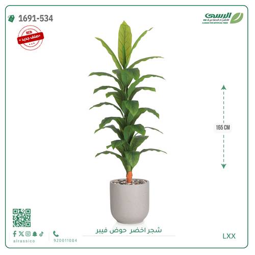 شجرة ورق أخضر وسط بمركن فيبر اسطوانى 